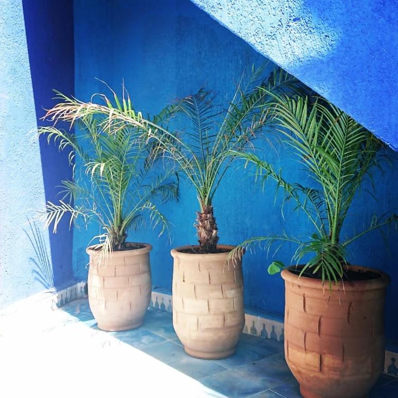 Dar Massaneh Villa Essaouira Ngoại thất bức ảnh